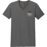 Wash U Softstyle V-Neck T-Shirt