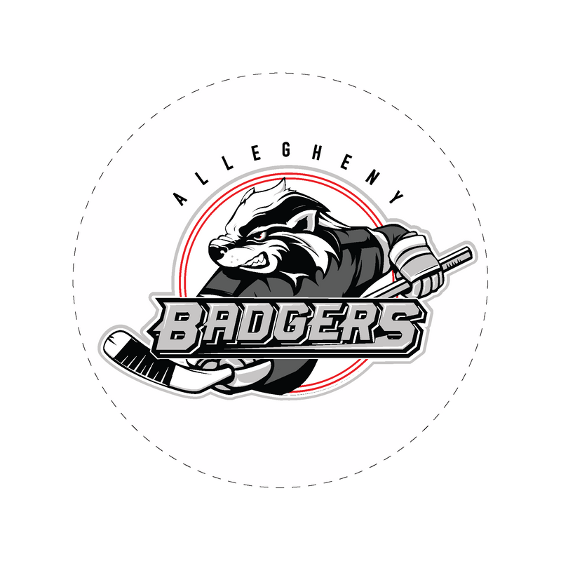 Allegheny Badgers Static Cling Clear Window Decal