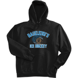 BagelEddi's Ultimate Cotton - Pullover Hooded Sweatshirt