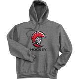 University of Tampa Ultimate Cotton - Pullover Hooded Sweatshirt