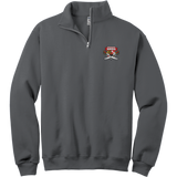 SOMD Sabres NuBlend 1/4-Zip Cadet Collar Sweatshirt