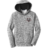 Scary Badgers Youth PosiCharge Electric Heather Fleece Hooded Pullover